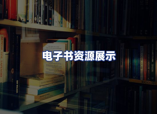 电子书资源展示